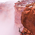 Atop Canyonlands by Chad Dutson