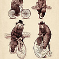 Bears on Bicycles by Eric Fan