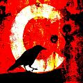 C is for Crow by Carol Leigh