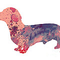 Dachshund 3 by Watercolor Girl