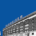 St Louis Skyline Budweiser Brewery - Royal Blue by DB Artist