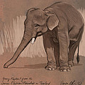 Young Asian Elephant sketch by Aaron Blaise