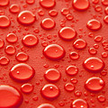 Red water drops by Blink Images