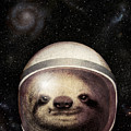 Space Sloth by Eric Fan