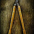 Tools On Wood 34 by YoPedro