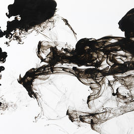 Black Ink Swirls In Water by TERRY MCCORMICK