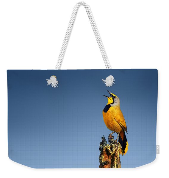 Bokmakierie Bird Calling Weekender Tote Bag