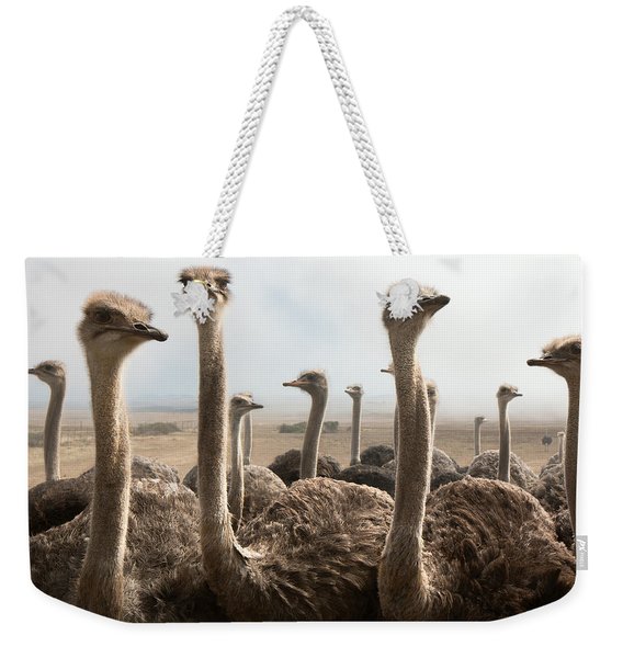 Ostrich Heads Weekender Tote Bag