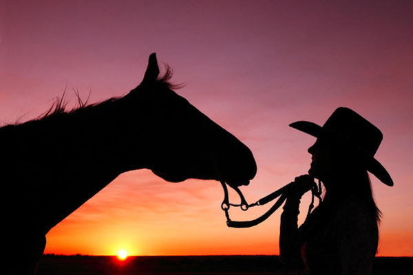Horse Wall Art - Photograph - Cowgirl Sunset by Todd Klassy