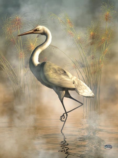 Birds Wall Art - Digital Art - Egret by Daniel Eskridge