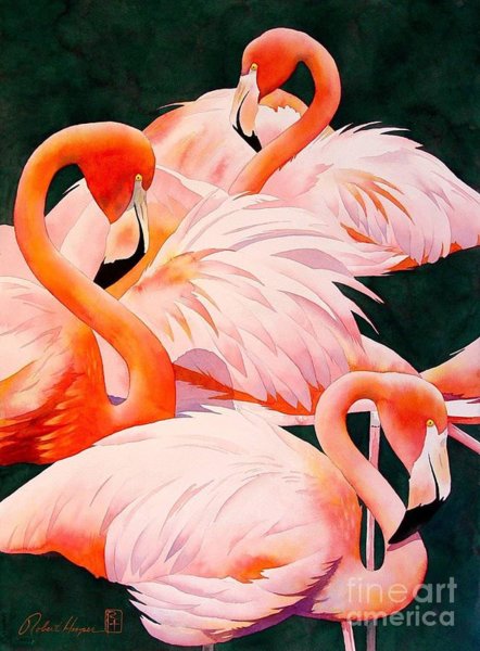 Birds Wall Art - Painting - Flamingos by Robert Hooper