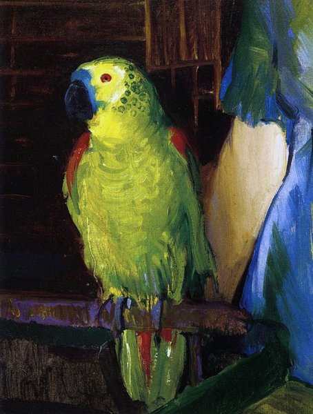 Birds Wall Art - Painting - Parrot by George Wesley Bellows