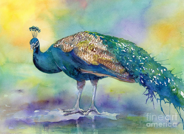 Peacock Wall Art - Painting - Peacock by Amy Kirkpatrick