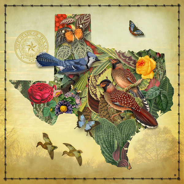 University Wall Art - Painting - Nature Map Of Texas by Gary Grayson
