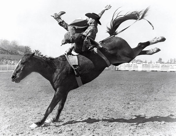 University Wall Art - Photograph - Riding A Bucking Bronco by Underwood Archives