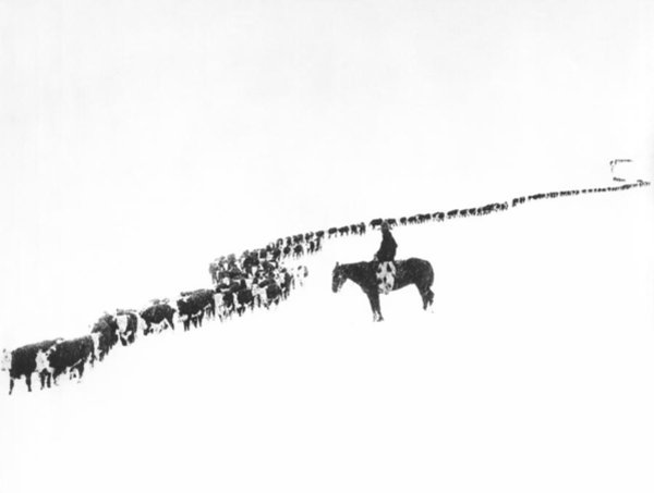University Wall Art - Photograph - The Long Long Line by Underwood Archives  Charles Belden