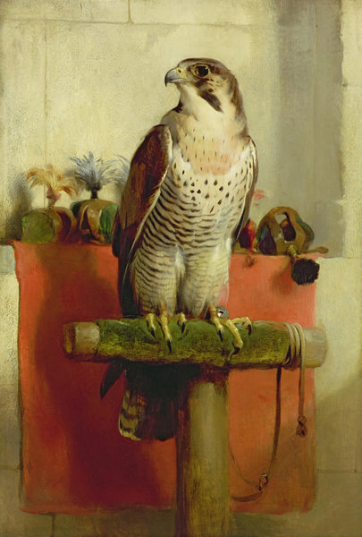 Birds Wall Art - Painting - Falcon by Sir Edwin Landseer