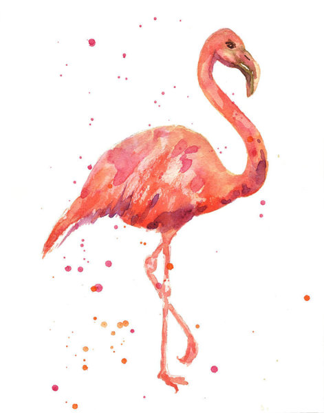 Birds Wall Art - Painting - Flamingo Facing Right by Alison Fennell