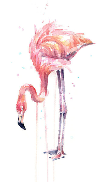 Birds Wall Art - Painting - Flamingo Illustration Watercolor - Facing Left by Olga Shvartsur