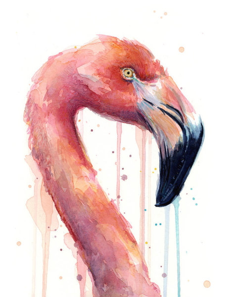 Birds Wall Art - Painting - Flamingo Painting Watercolor - Facing Right by Olga Shvartsur