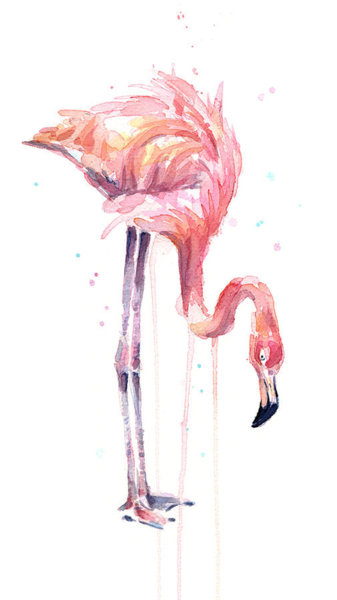 Birds Wall Art - Painting - Flamingo Painting Watercolor by Olga Shvartsur