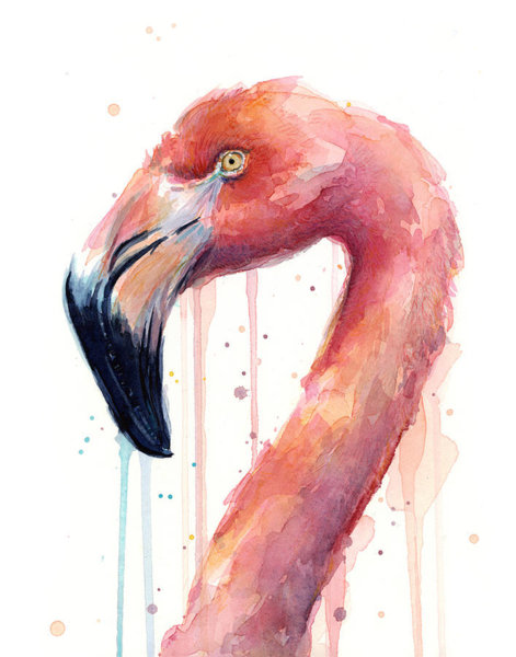 Birds Wall Art - Painting - Flamingo Watercolor Illustration by Olga Shvartsur