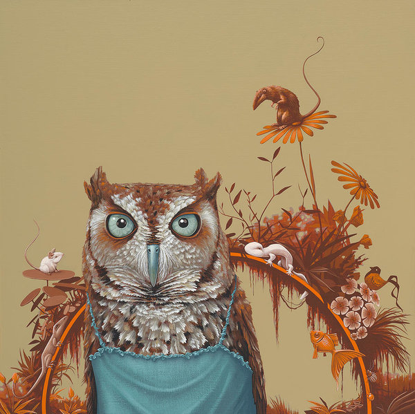 Birds Wall Art - Painting - Northern Screech Owl by Jasper Oostland