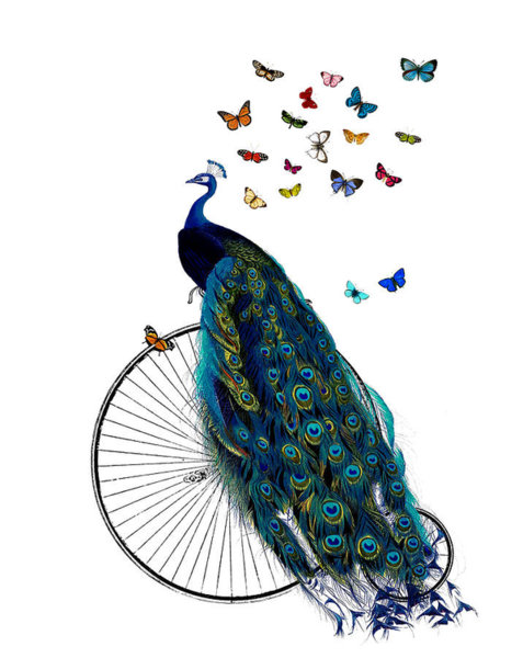 Peacock Wall Art - Digital Art - Peacock On A Bicycle With Butterflies by Madame Memento