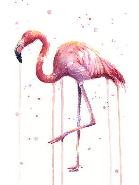 Birds Wall Art - Painting - Pink Watercolor Flamingo by Olga Shvartsur