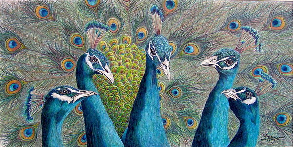 Peacock Wall Art - Drawing - The City Council by Susan Moyer