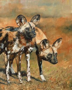 Wall Art - Painting - African Wild Dogs by David Stribbling