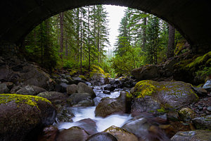 Wall Art - Photograph - Bridge Below Rainier by Chad Dutson