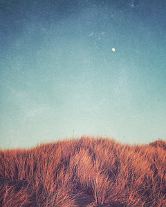 Wall Art - Photograph - Distant Moon by Lupen  Grainne