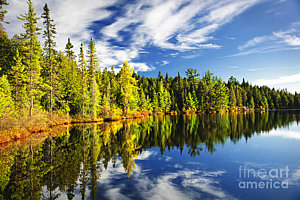 Landscapes Wall Art - Photograph - Forest Reflecting In Lake by Elena Elisseeva