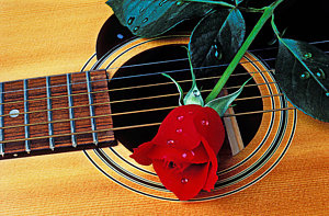 Wall Art - Photograph - Guitar With Single Red Rose by Garry Gay