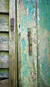 Wall Art - Photograph - Old Shed Door by Tom Gowanlock