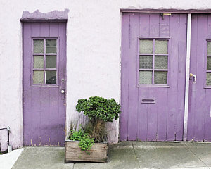 Wall Art - Photograph - Purple House by Lupen  Grainne