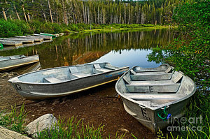 Wall Art - Photograph - Row Boats Lining A Lake In Mammoth Lakes California by Jamie Pham