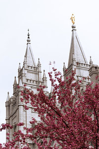 Wall Art - Photograph - Spring At The Temple by Chad Dutson