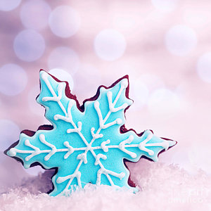 Wall Art - Photograph - Tasty Snowflake Shaped Cookie by Anna Om