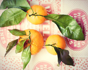 Wall Art - Photograph - Three Tangerines by Lupen  Grainne