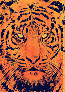 Wall Art - Drawing - Tiger by Giuseppe Cristiano