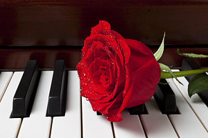 Wall Art - Photograph - Red Rose On Piano by Garry Gay
