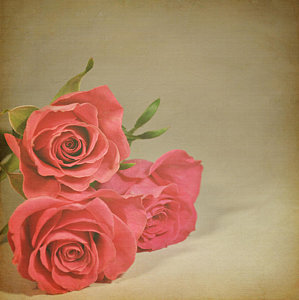 Wall Art - Photograph - Red Roses by Photo - Lyn Randle