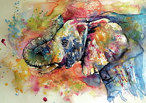 Painting - Big Colorful Elephant by Kovacs Anna Brigitta