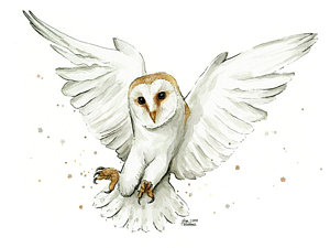 Birds Wall Art - Painting - Barn Owl Flying Watercolor by Olga Shvartsur
