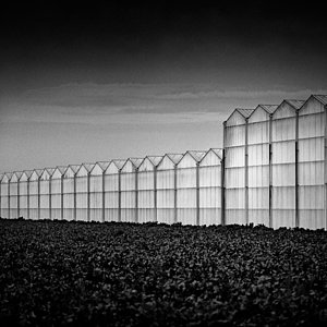 Wall Art - Photograph - Greenhouse by Dave Bowman