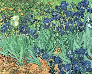 Impressionism Wall Art - Painting - Irises by Vincent Van Gogh