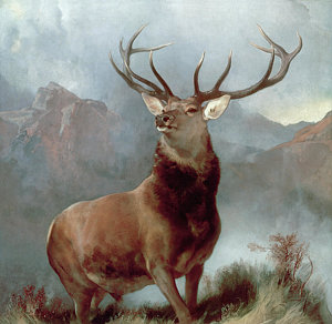 Painting - Monarch Of The Glen by Sir Edwin Landseer