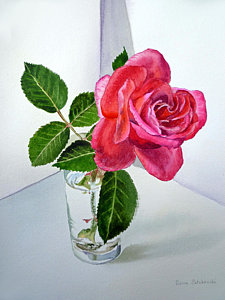 Wall Art - Painting - Pink Rose by Irina Sztukowski